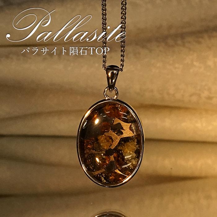 一点物 パラサイト隕石 ペンダントトップ オーバル 5.2ｇ SV925 シルバー meteorite Parasite カラーストーン