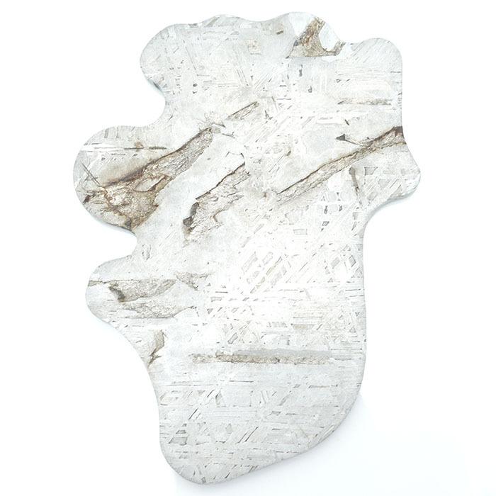 【一点物】 アルタイ隕石 新疆隕石 プレート Altai Xinjiang meteorite Plate カワセミ かわせみの画像