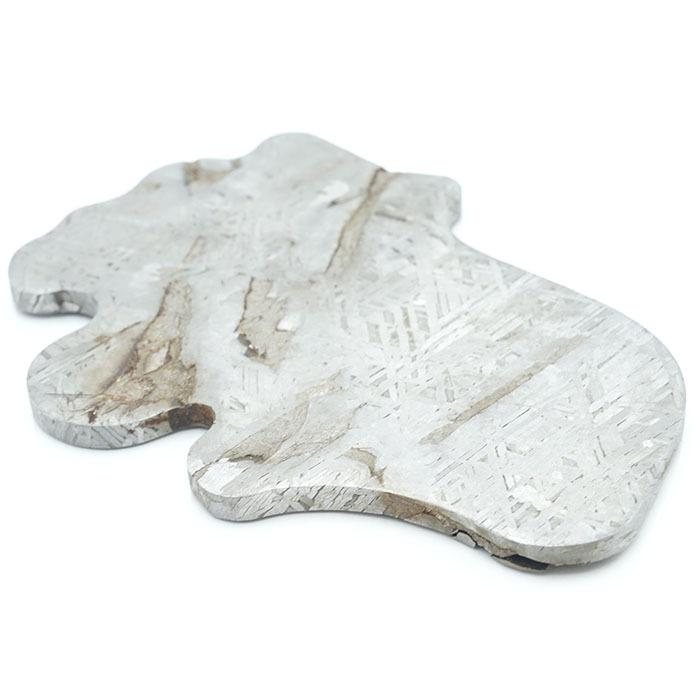 【一点物】 アルタイ隕石 新疆隕石 プレート Altai Xinjiang meteorite Plate カワセミ かわせみの画像