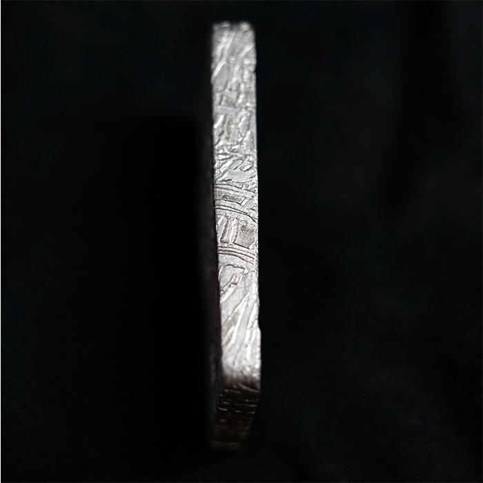 一点物】 アルタイ隕石 新疆隕石 大日如来 彫り物 プレート カワセミ