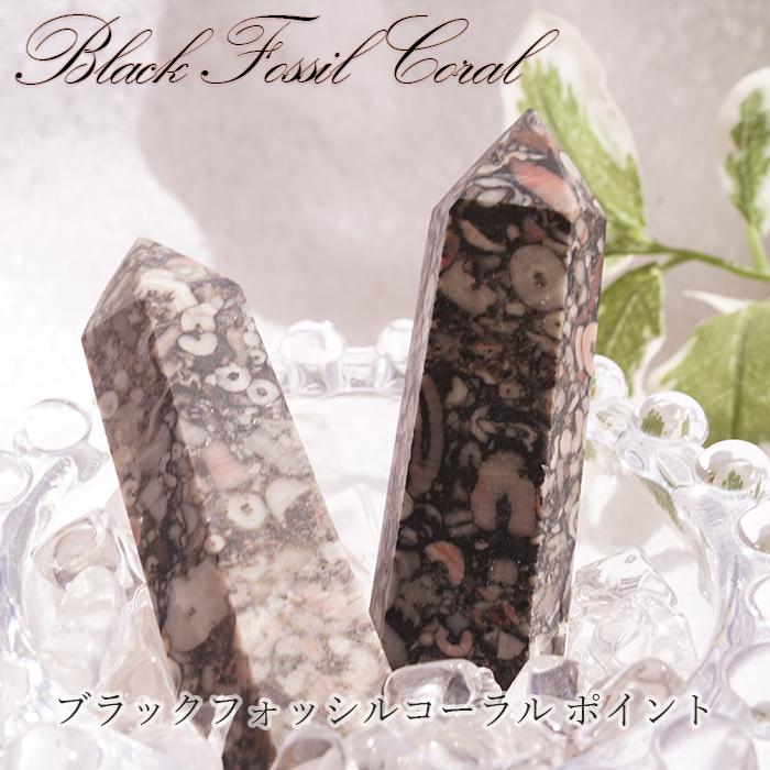 ブラックフォッシルコーラル ポイント 原石 六角柱 アフガニスタン産 