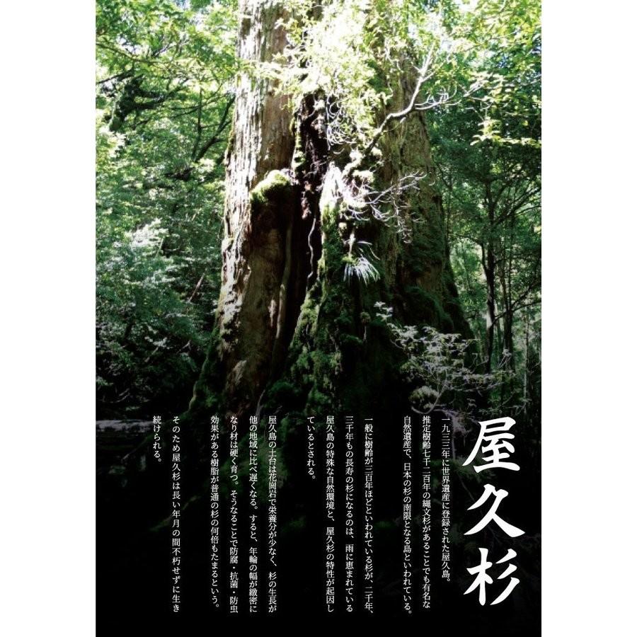 屋久杉 ブレスレット 8mm 世界遺産 樹齢1000年 太古 生命力 エネルギー