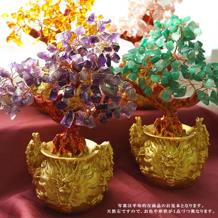 招財樹 金のなる木 風水 アイテム 置物 玄関 インテリア 龍 ドラゴン