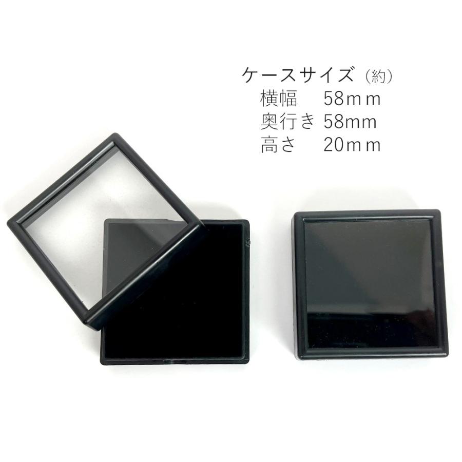 ルースケース ブラック【クリアケース ルース コイン コレクションケース】【1メール便12個まで可】 |  | 02