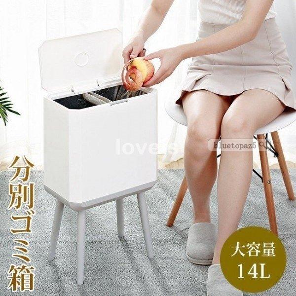 ゴミ箱 収納ボックス 2分別 リビング ダストボックス おしゃれ キッチン ごみ箱 様々な用途 家具 インテリア 生ごみ 便利 着後レビューで 送料無料