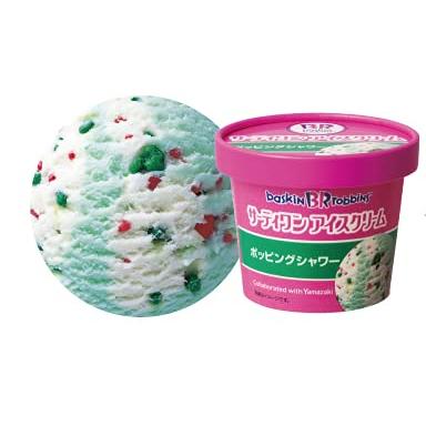 冷凍] サーティワン アイスクリーム 10個セット 5種類 [各2個