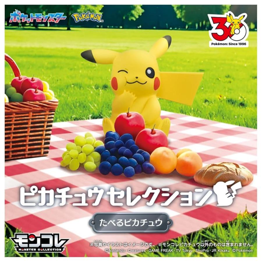 予約]26年5月 ポケットモンスター ポケモン30周年記念 モンコレ