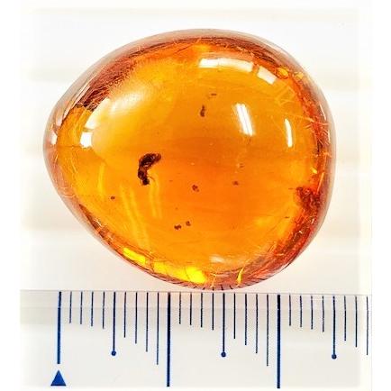 ドミニカ産 虫入りブルーアンバー 19.42ct ルース 虫入り琥珀