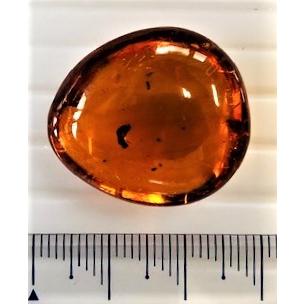 ドミニカ産 虫入りブルーアンバー 19.42ct ルース 虫入り琥珀