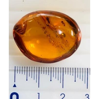 ドミニカ産 虫入りブルーアンバー 18.92ct ルース 虫入り琥珀