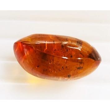 ドミニカ産　虫入りブルーアンバー 18.92ct　ルース　虫入り琥珀　コハクの画像