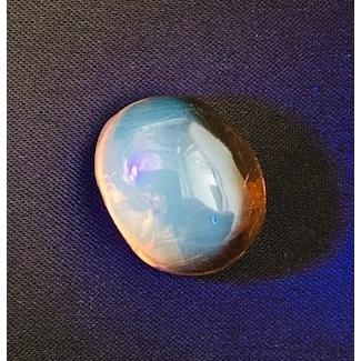 ドミニカ産琥珀　虫入り琥珀　約4・5グラム 楽天市場】虫入り琥珀 こはく アンバー ドミニカ産 14KGF