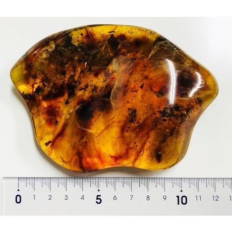 ドミニカ産　虫入りブルーアンバー　643.43ct　ルース　虫入り琥珀の画像