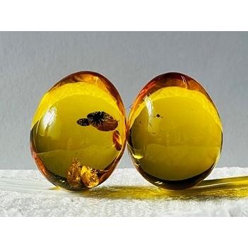 琥珀　卵型ペア　2個合計　63.89ct