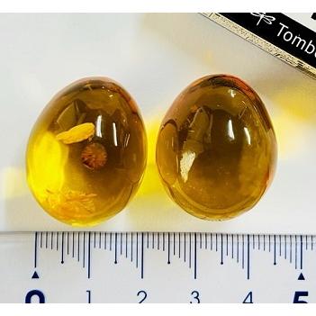 琥珀　卵型ペア　2個合計　63.89ct_6