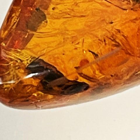 ブルーアンバー 虫入り フリーシェイプ ドミニカ産 琥珀 16.60ct : gem