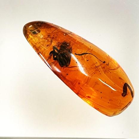 ブルーアンバー 虫入り フリーシェイプ ドミニカ産 琥珀 16.60ct : gem