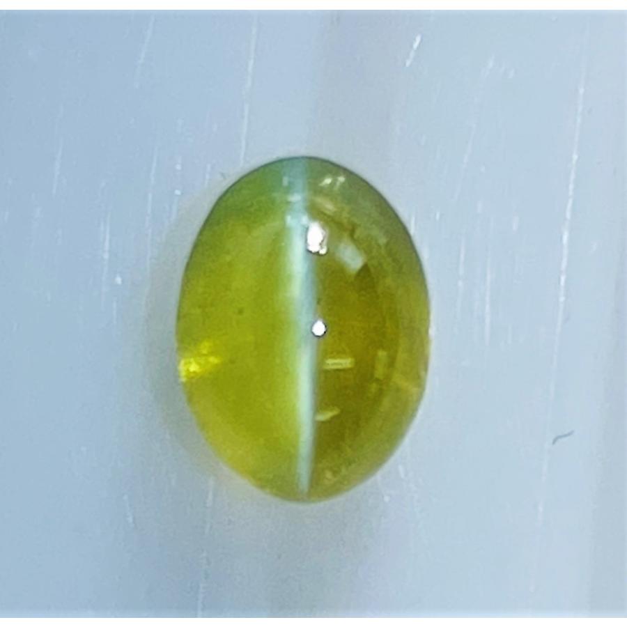 [] yce-009 (yce-009)