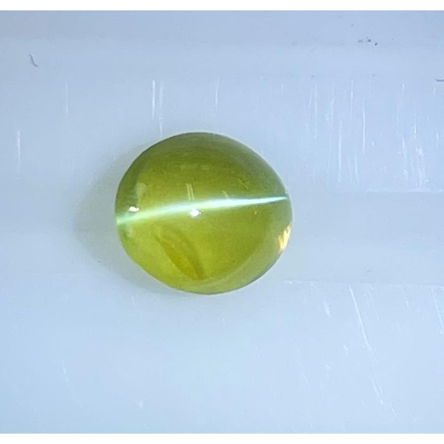 yce-010