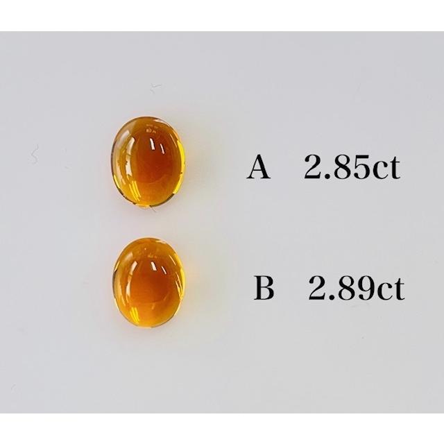 yct-009