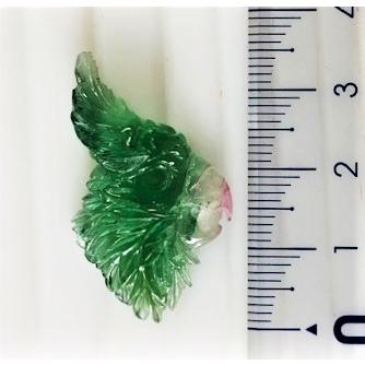 バイカラートルマリン　オウム カービング　20.35ct　ルース　ディスプレイ用ケース付きの画像