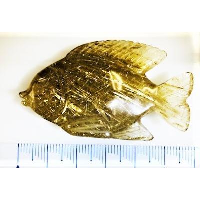 ルチルクォーツ 魚カービング 121.47ct ルース ディスプレイ用ケース
