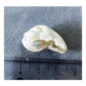 南洋パール　バロック　18.03ct　真珠　ルースの画像