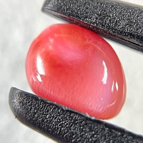 コンクパール 1.38ct ソーティング付きルース sold out : gem