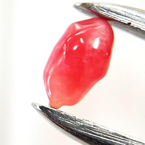 コンクパール　0.26ct　ソーティング付き　ルース　conch pearl_1