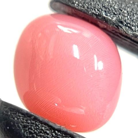 コンクパール　0.86ct　ソーティング付き　ルース　conch pearlの画像