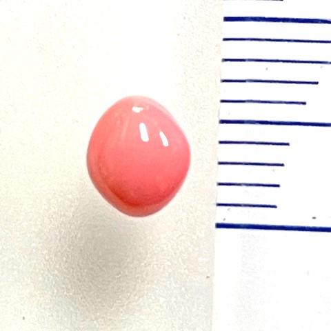 コンクパール　0.86ct　ソーティング付き　ルース　conch pearlの画像