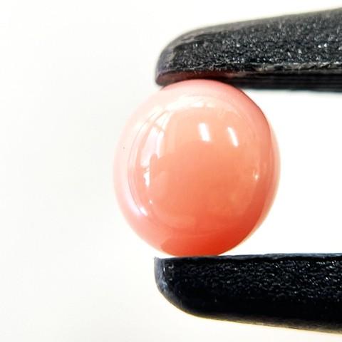 コンクパール　1.55ct　ルース　ソーティング付きの画像
