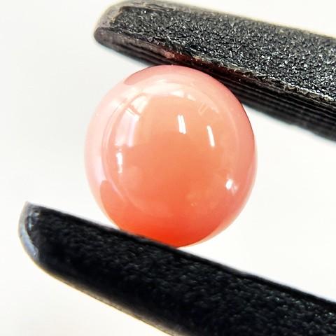 コンクパール　1.55ct　ルース　ソーティング付きの画像