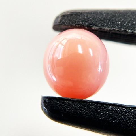 コンクパール　1.55ct　ルース　ソーティング付きの画像