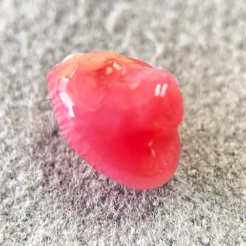 コンクパール　1.02ct　ソーティング付きルースの画像