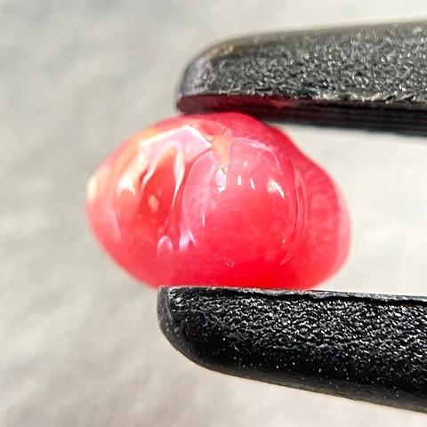 コンクパール　1.02ct　ソーティング付きルースの画像
