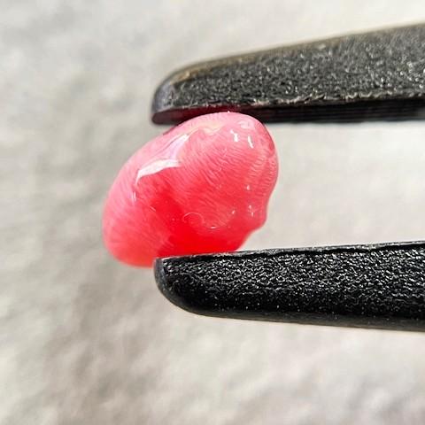 コンクパール　1.02ct　ソーティング付きルースの画像