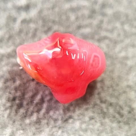コンクパール　1.02ct　ソーティング付きルースの画像