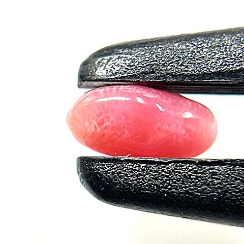 コンクパール　0.48ct　ソーティング付きルースの画像