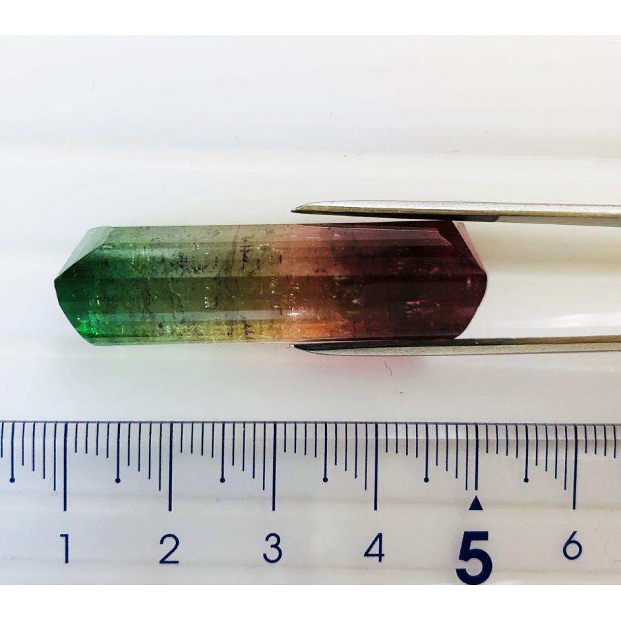 バイカラートルマリン　大粒長角　60.64ct　ルースの画像