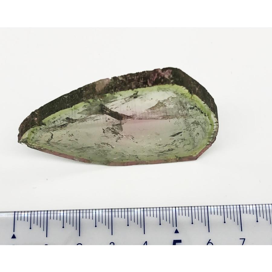 トルマリン　ウォーターメロン　輪切り　151.15ct　ルースの画像