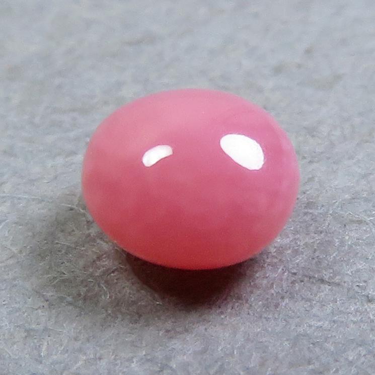 conchpearl027