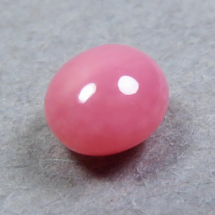 コンクパール(0.27ct)の画像