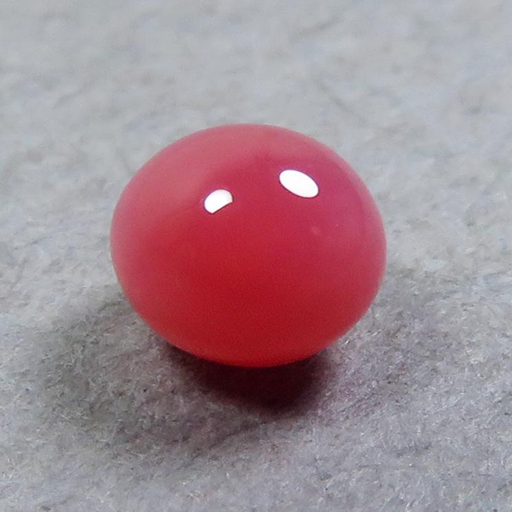 conchpearl031