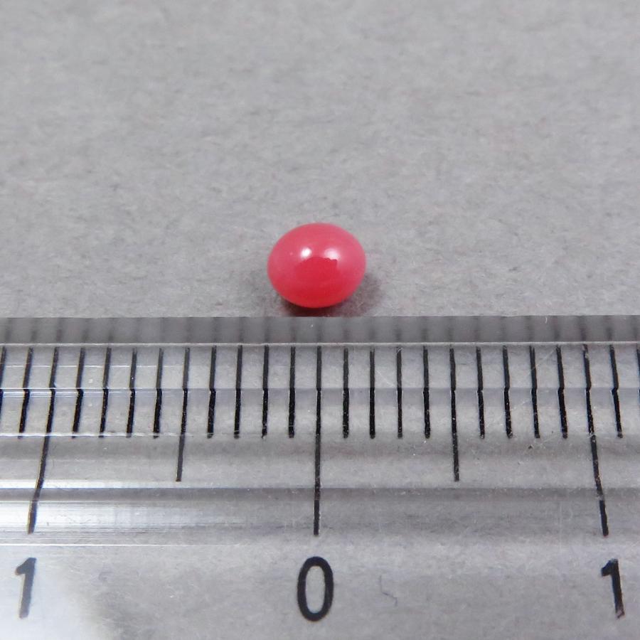 コンクパール(0.31ct)の画像