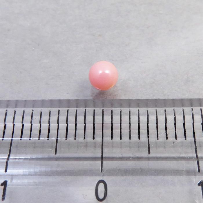 コンクパール(0.31ct)の画像