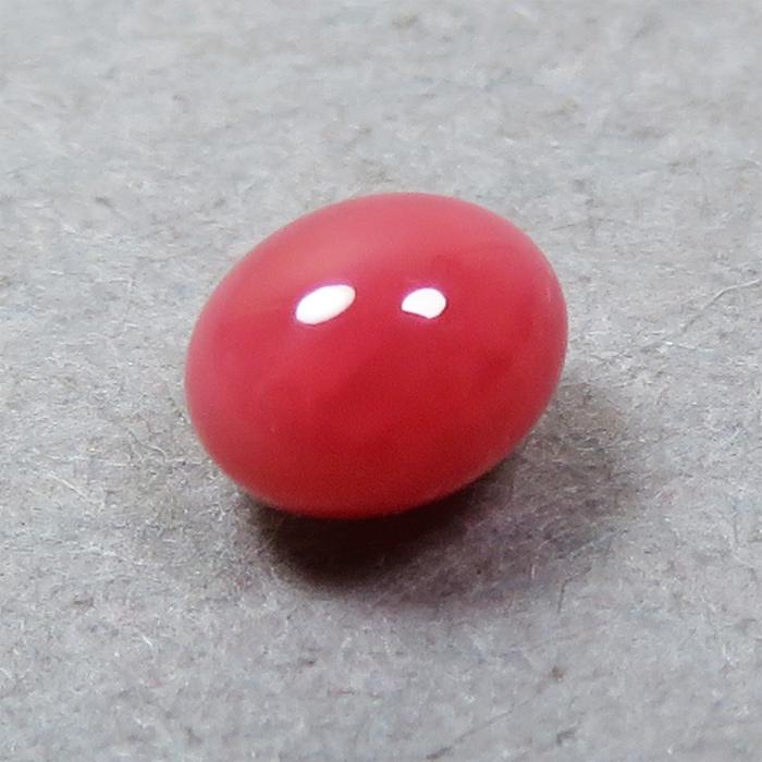 conchpearl033