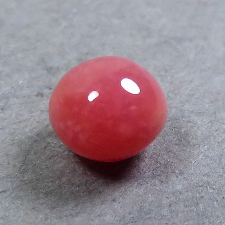 圧倒的人気 conchpearl038 型番:conchpearl038