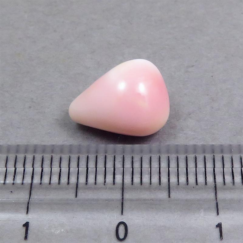コンクパール(5.25ct)の画像