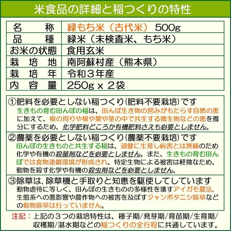 緑もち米 500g(250gx2袋) 緑米の玄米,古代米,ヘイケボタルが舞う田んぼで獲れたお米,無農薬,無肥料,送料無料(発送:平日の月、水、金)|gen-mai-ya-yho|04